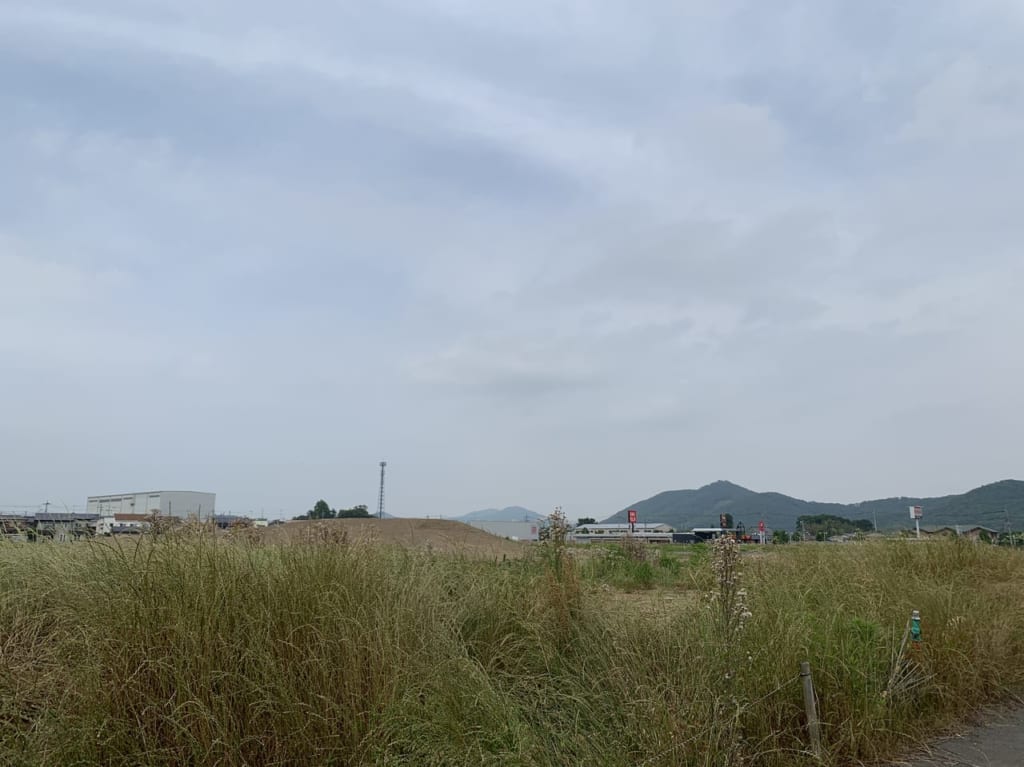 2020.6.4頃の様子