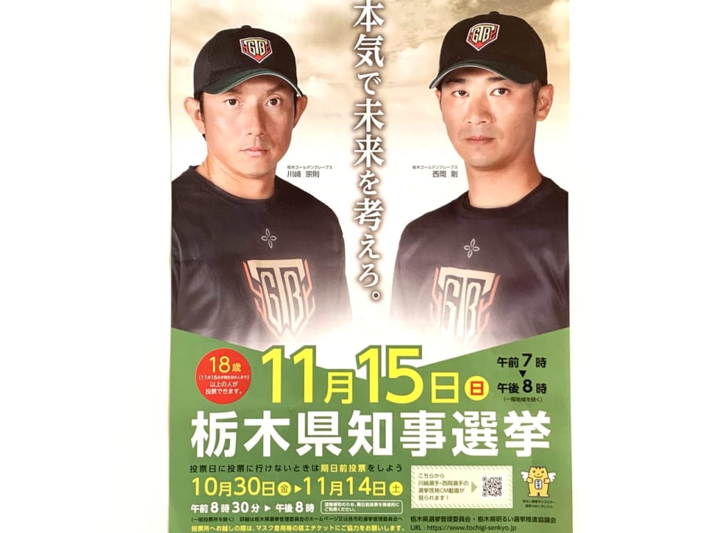 20201115栃木県知事選挙PR