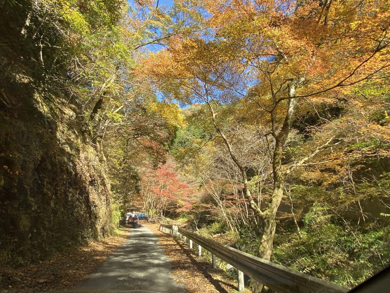 2022年11月13日佐野市の蓬莱山の紅葉