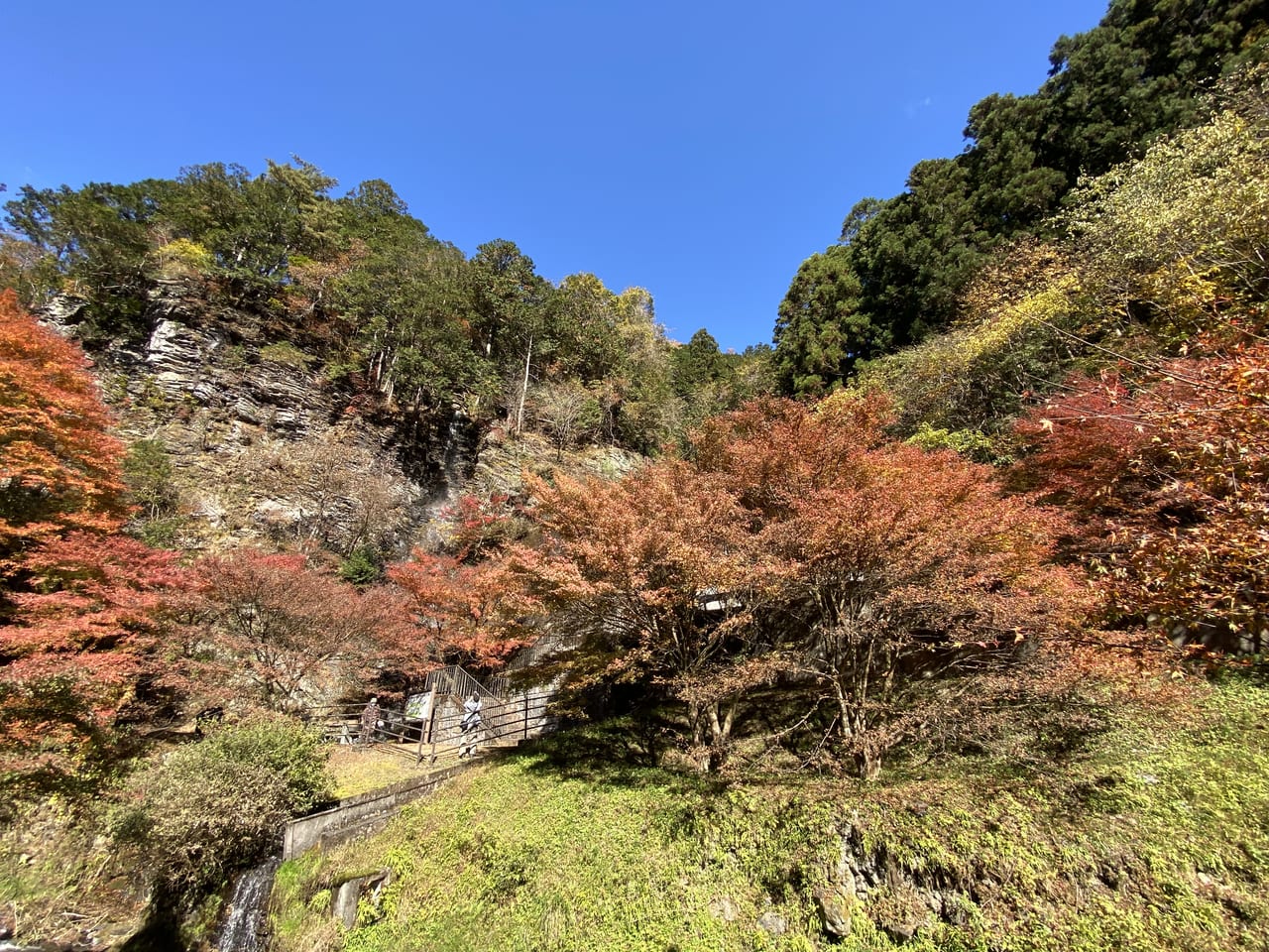 2022年11月13日佐野市の蓬莱山の紅葉