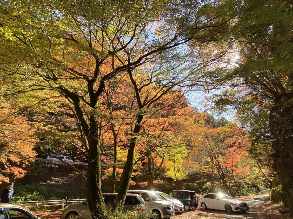 2022年11月14日