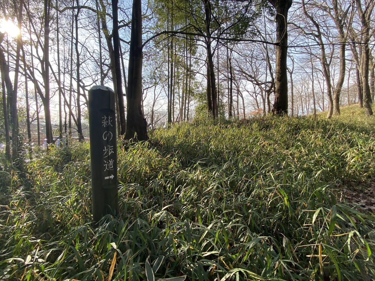 20231月25日足利市の寺岡山元三大師