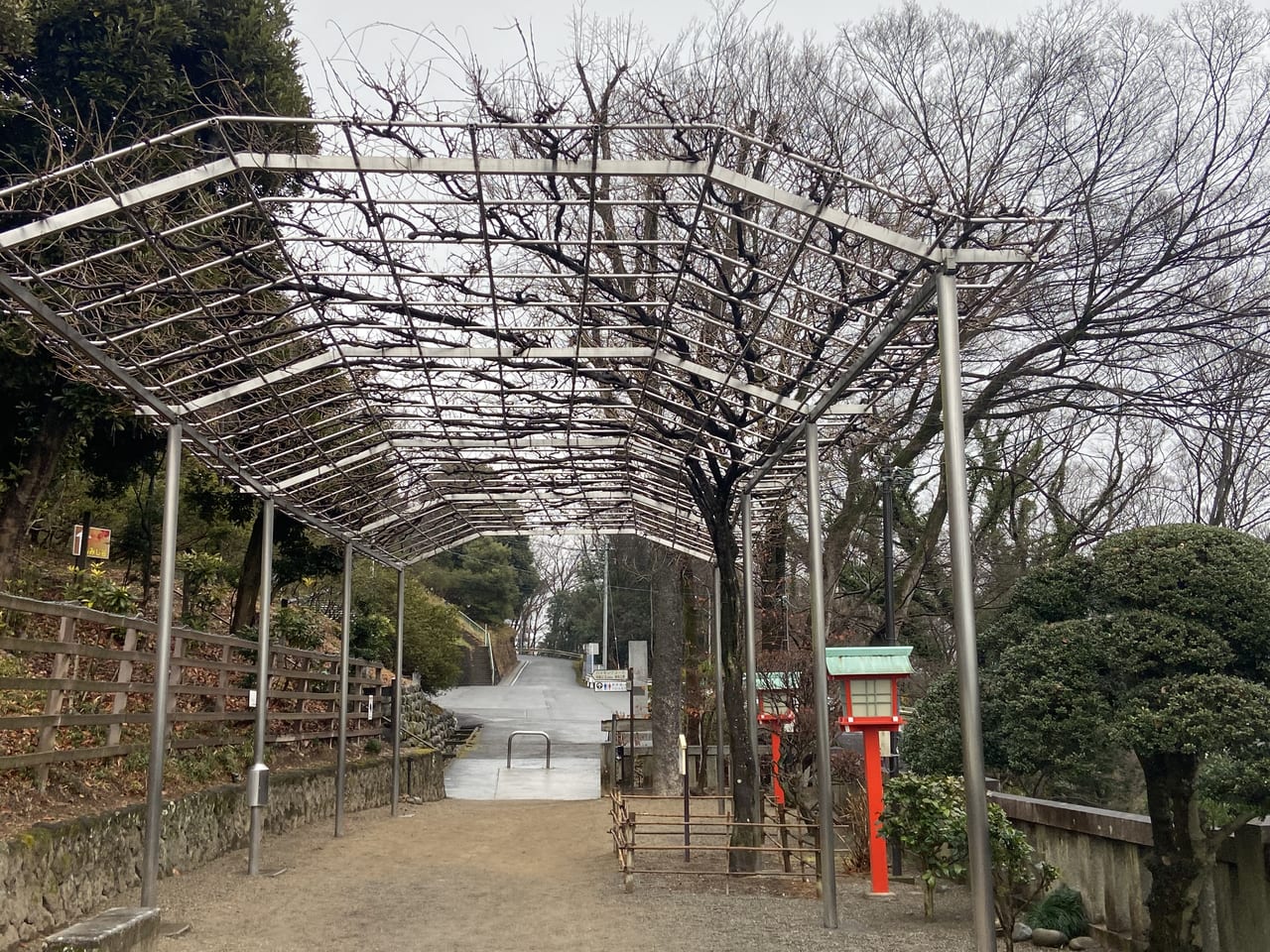 2023年1月22日足利市の足利織姫神社