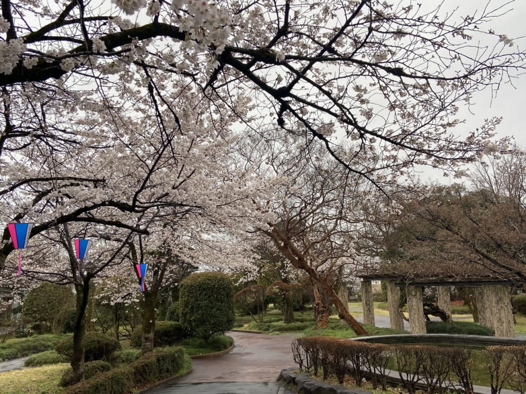 2023年3月23日佐野市の城山公園