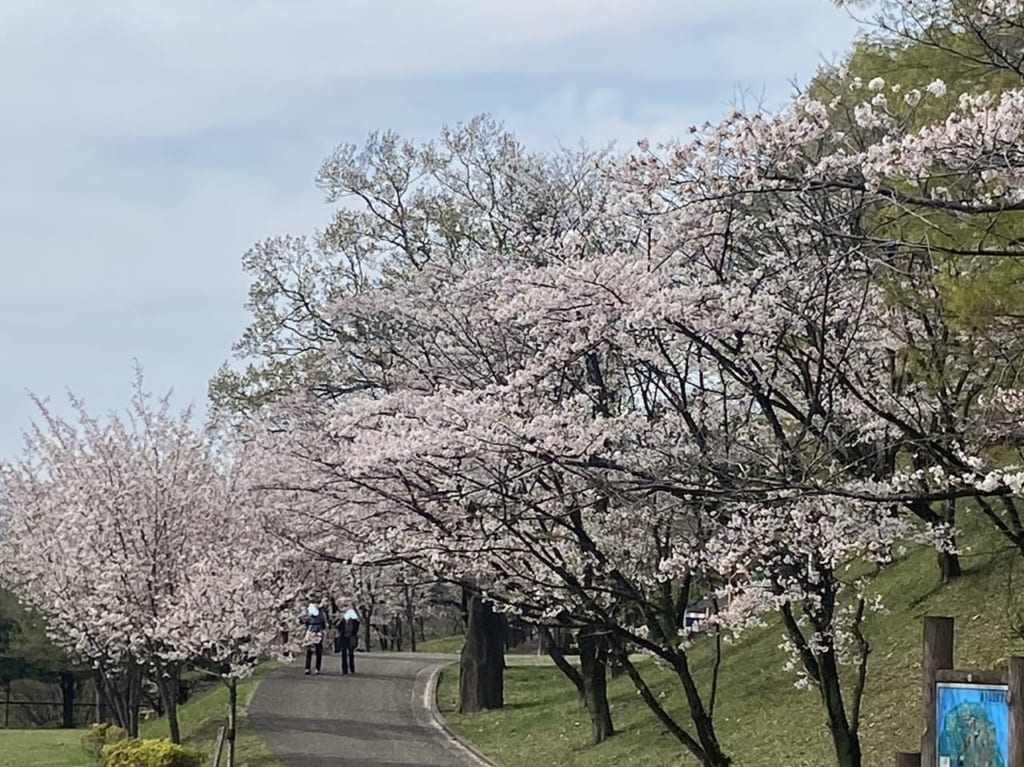 2023年3月31日佐野市の嘉多山公園