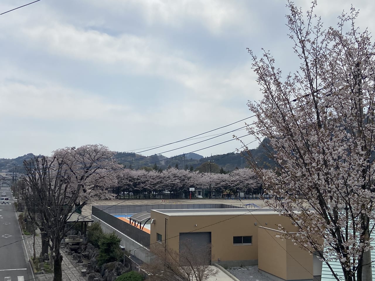 2023年3月31日佐野市の嘉多山公園