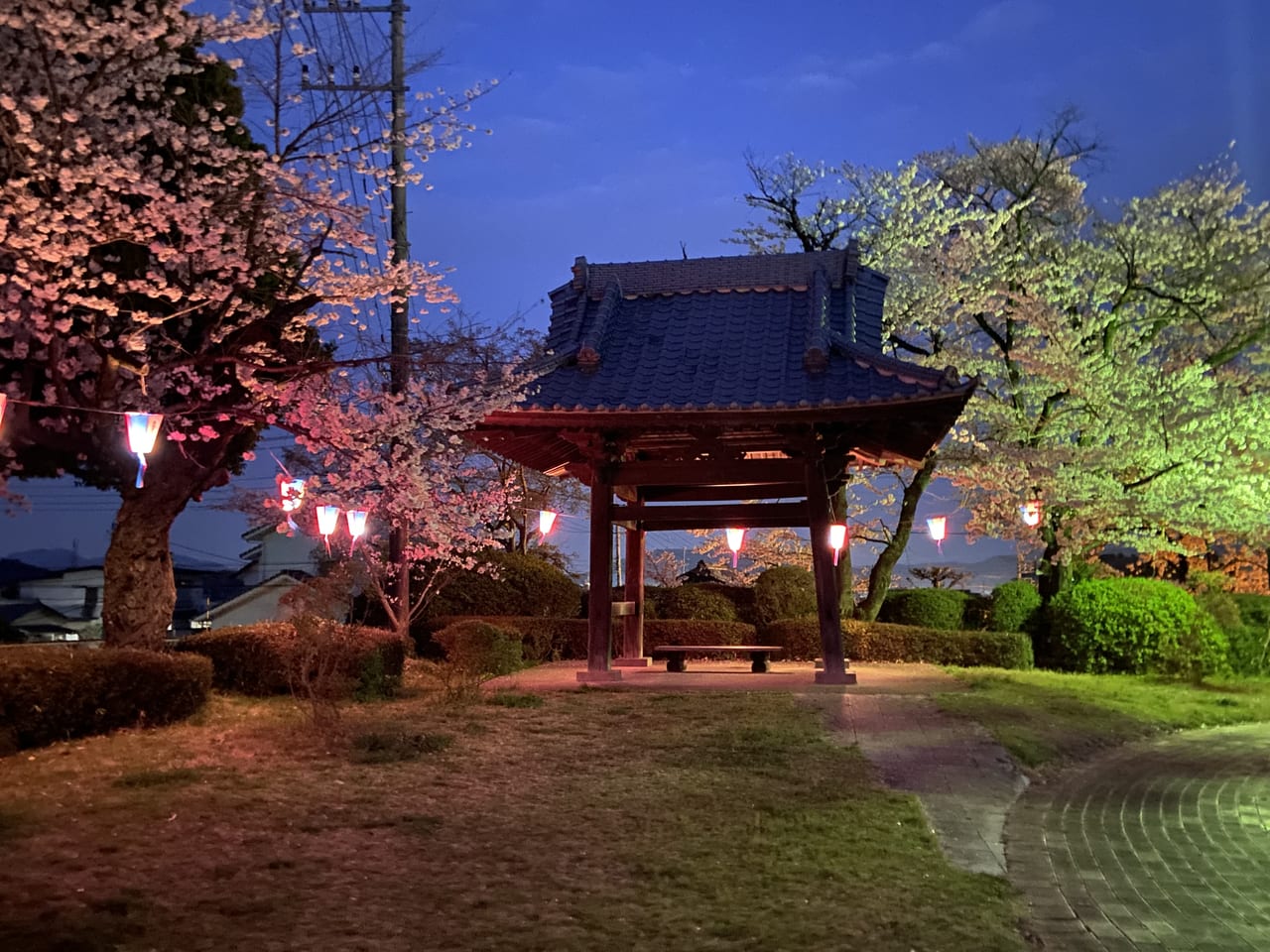 2023年3月29日佐野市の城山公園