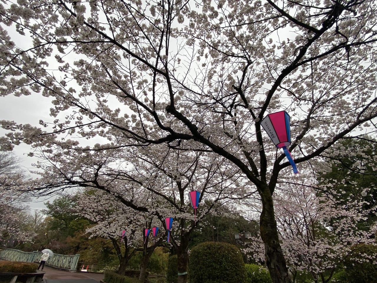 2023年3月23日佐野市の城山公園