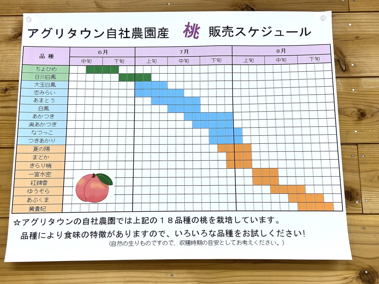 2023年7月11日佐野市のアグリタウン