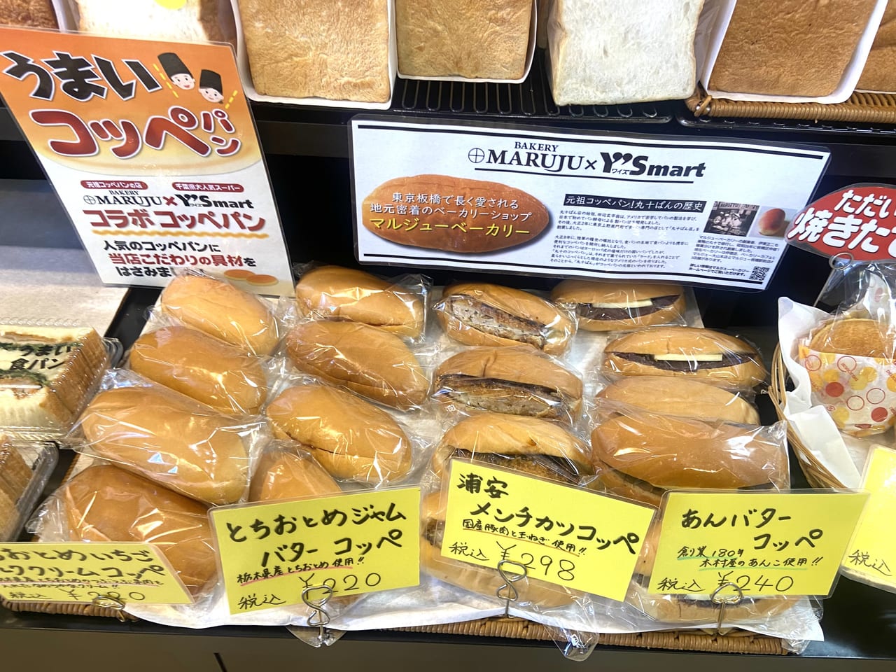 2023年8月28日佐野市のうまい食パン