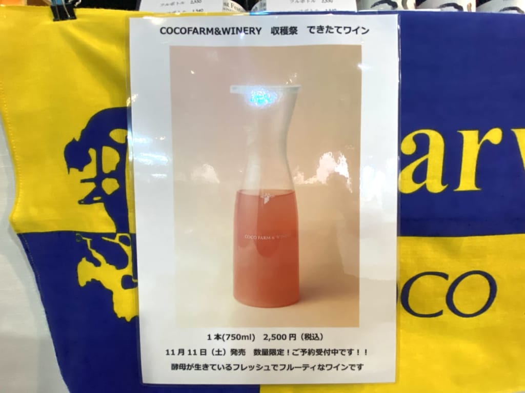 2023年9月9日足利市のココスプーン