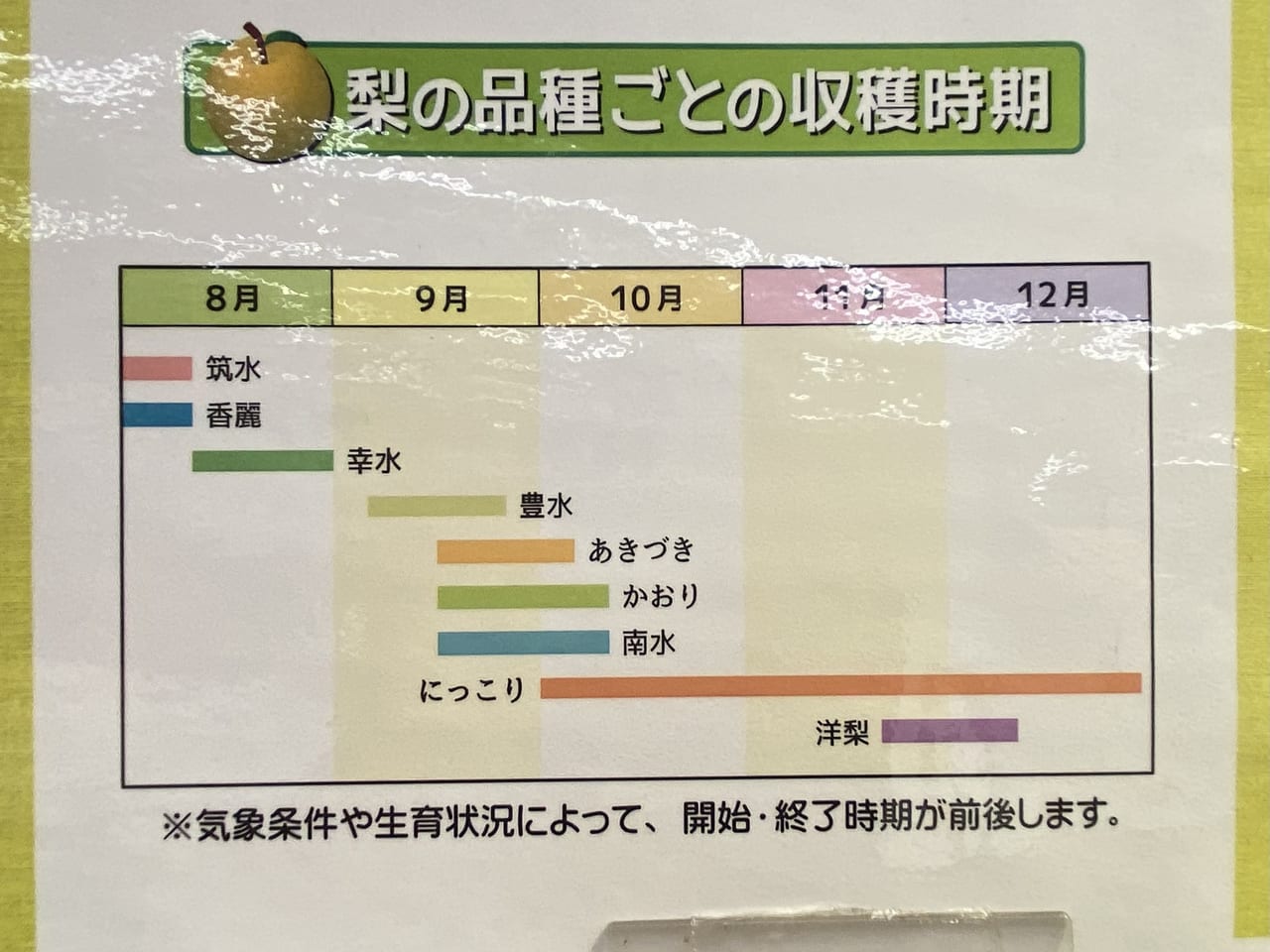 2023年9月16日佐野市のどまんなかたぬま