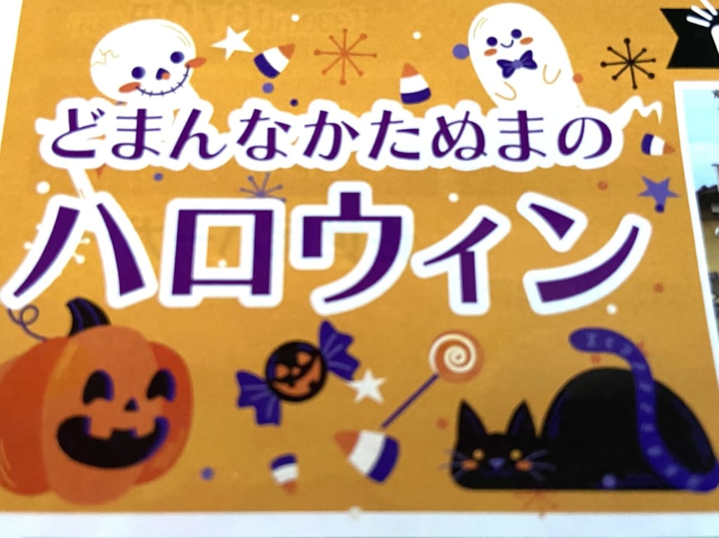 2023年10月10日佐野市のどまんなかたぬま
