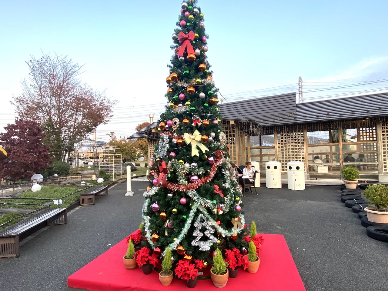 2023年12月5日佐野市のどまんなかたぬま