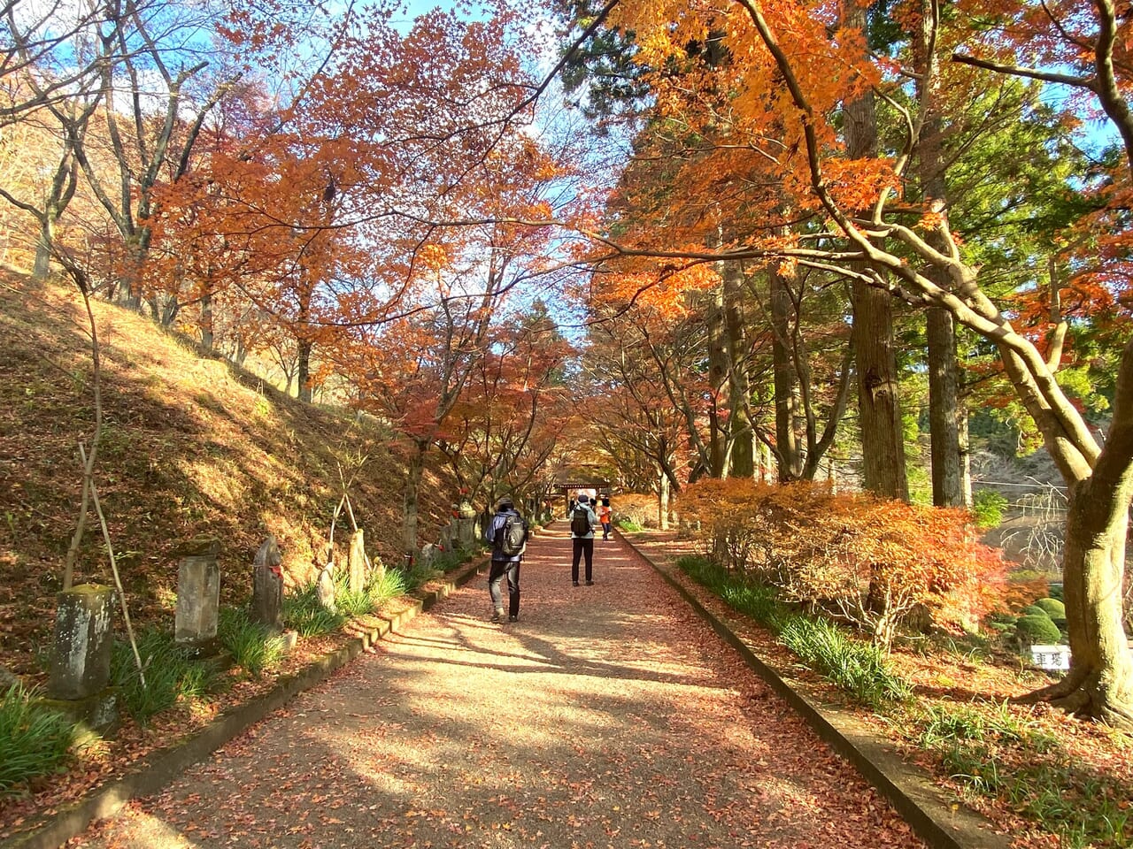 2023年12月2日佐野市の金蔵院