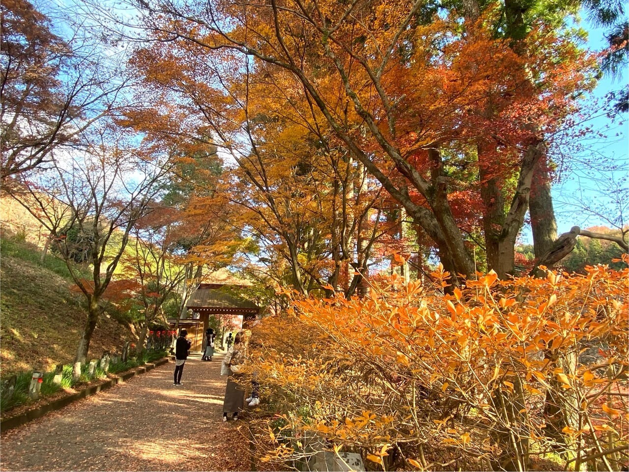 2023年12月2日佐野市の金蔵院