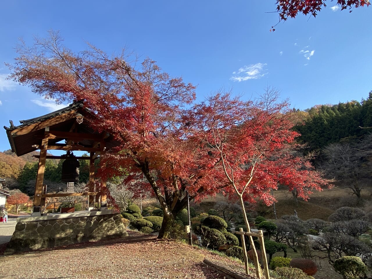 2023年12月2日佐野市の金蔵院