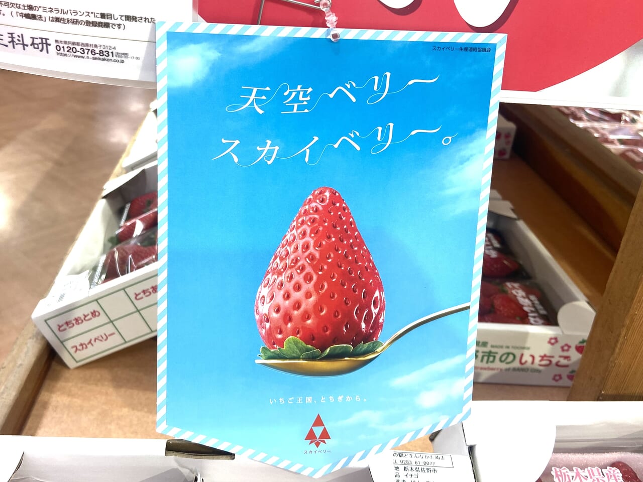 2023年12月7日佐野市のどまんなかたぬま