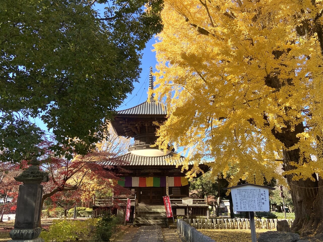 2023年12月6日足利市の鑁阿寺