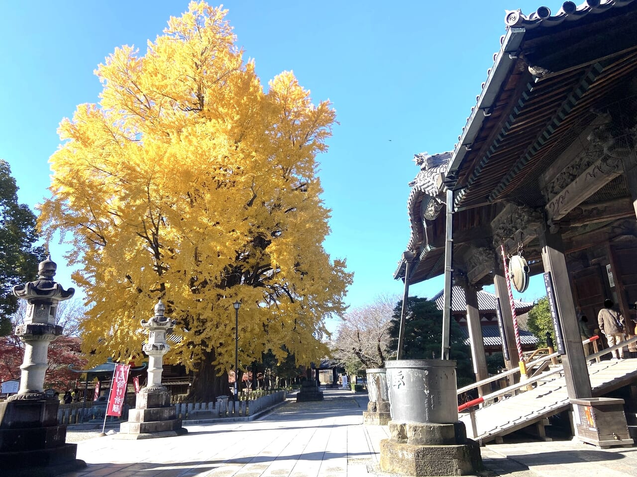 2023年12月6日足利市の鑁阿寺