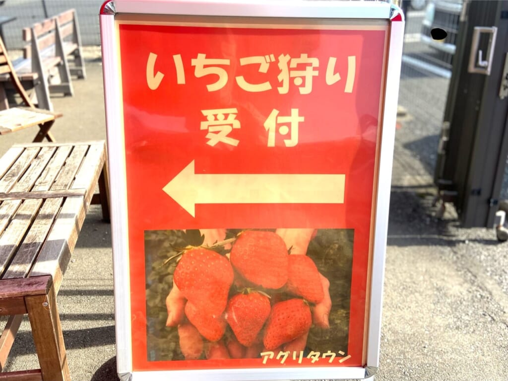 2023年12月20日佐野市のいちご狩り