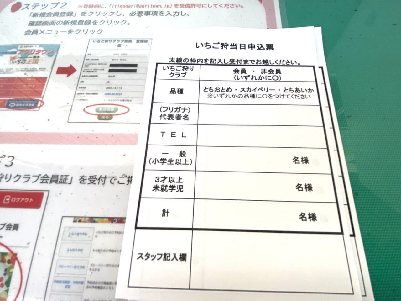 2023年12月20日佐野市のいちご狩り