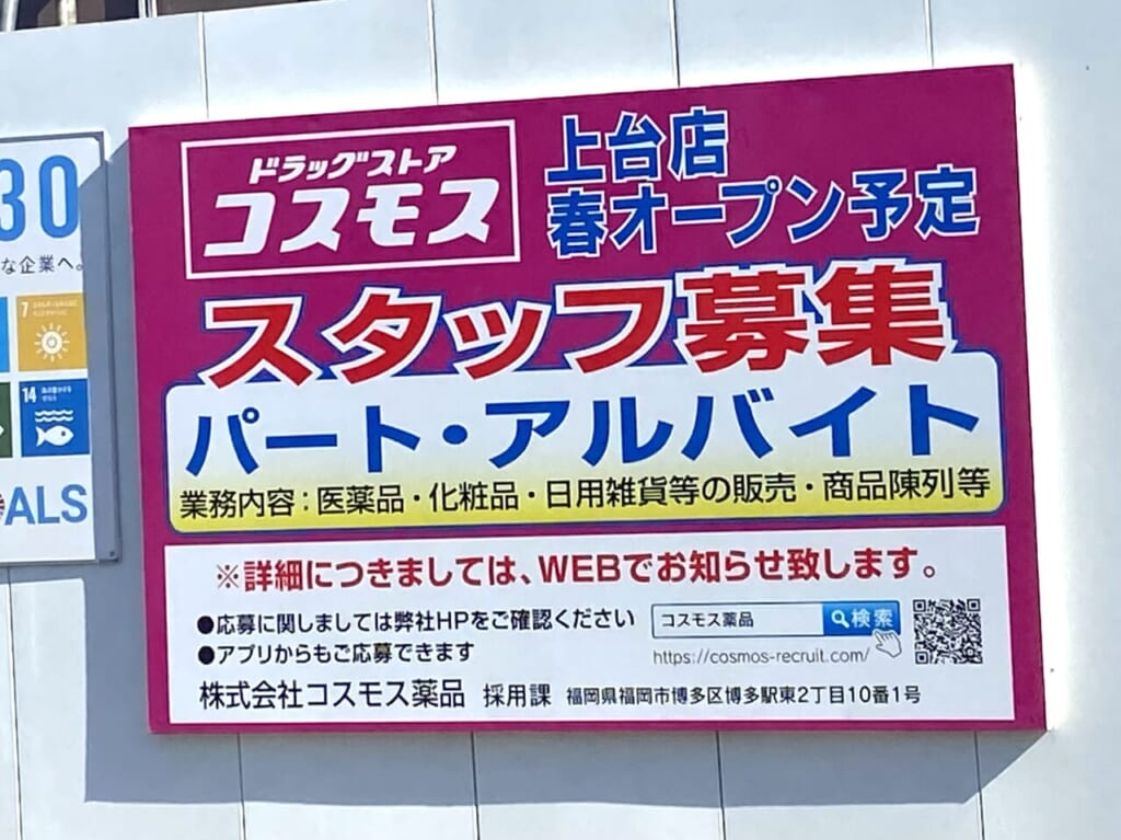 2024年2月8日佐野市のコスモス