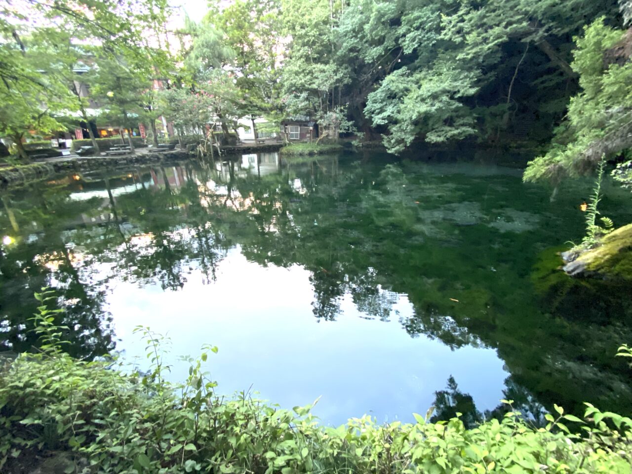 2024年11月11日佐野市の奥佐野
