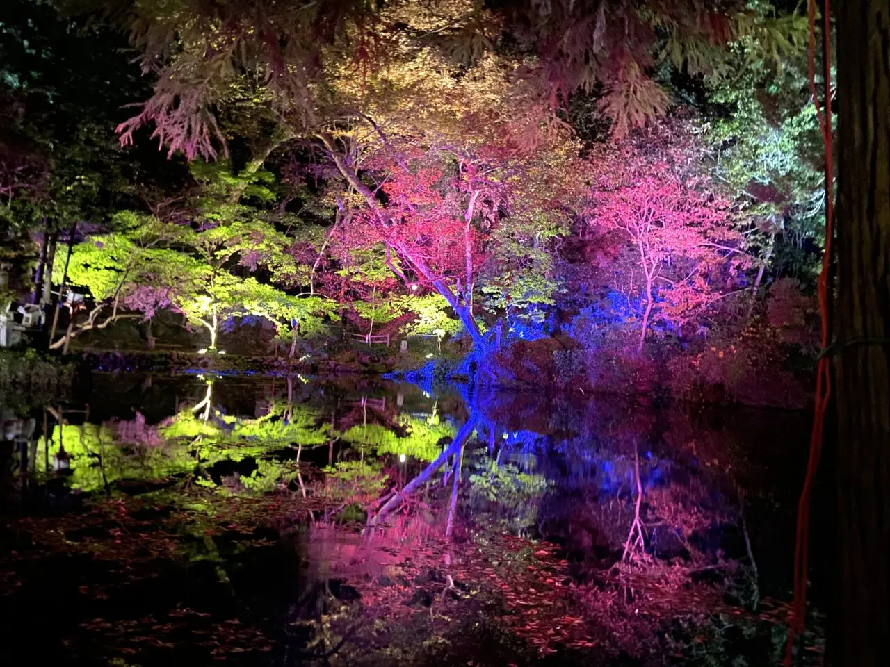 2025年10月31日佐野市の出流原弁天池