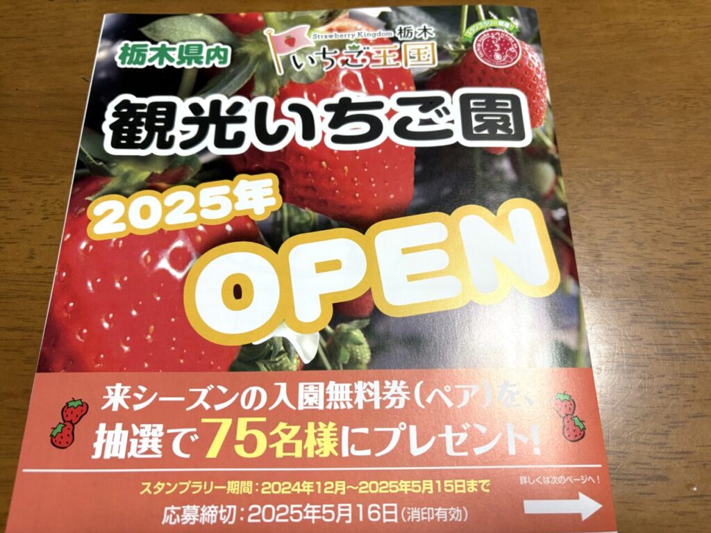 2025年2月17日足利市佐野市のいちご