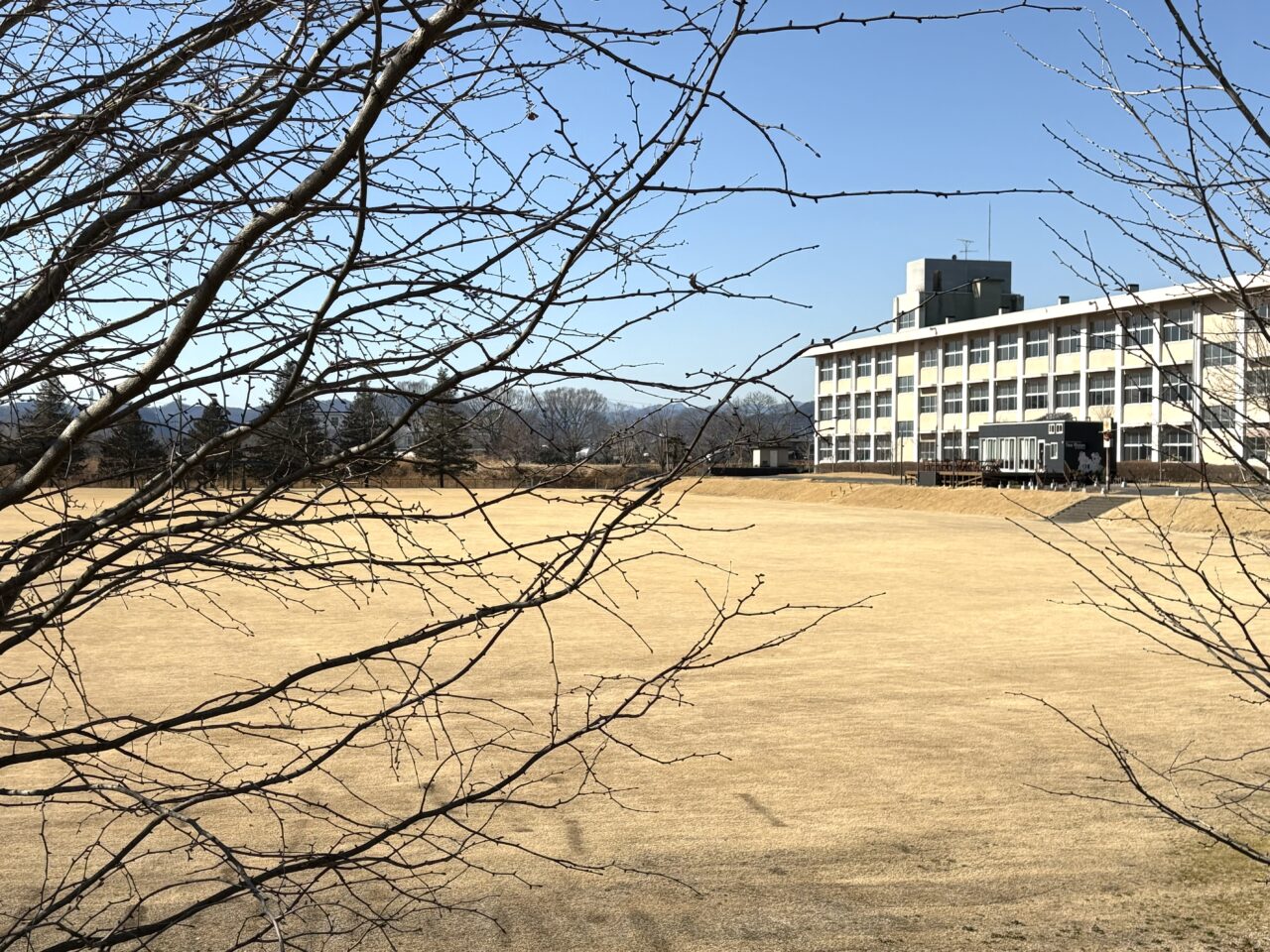 2025年3月1日佐野市のフェス