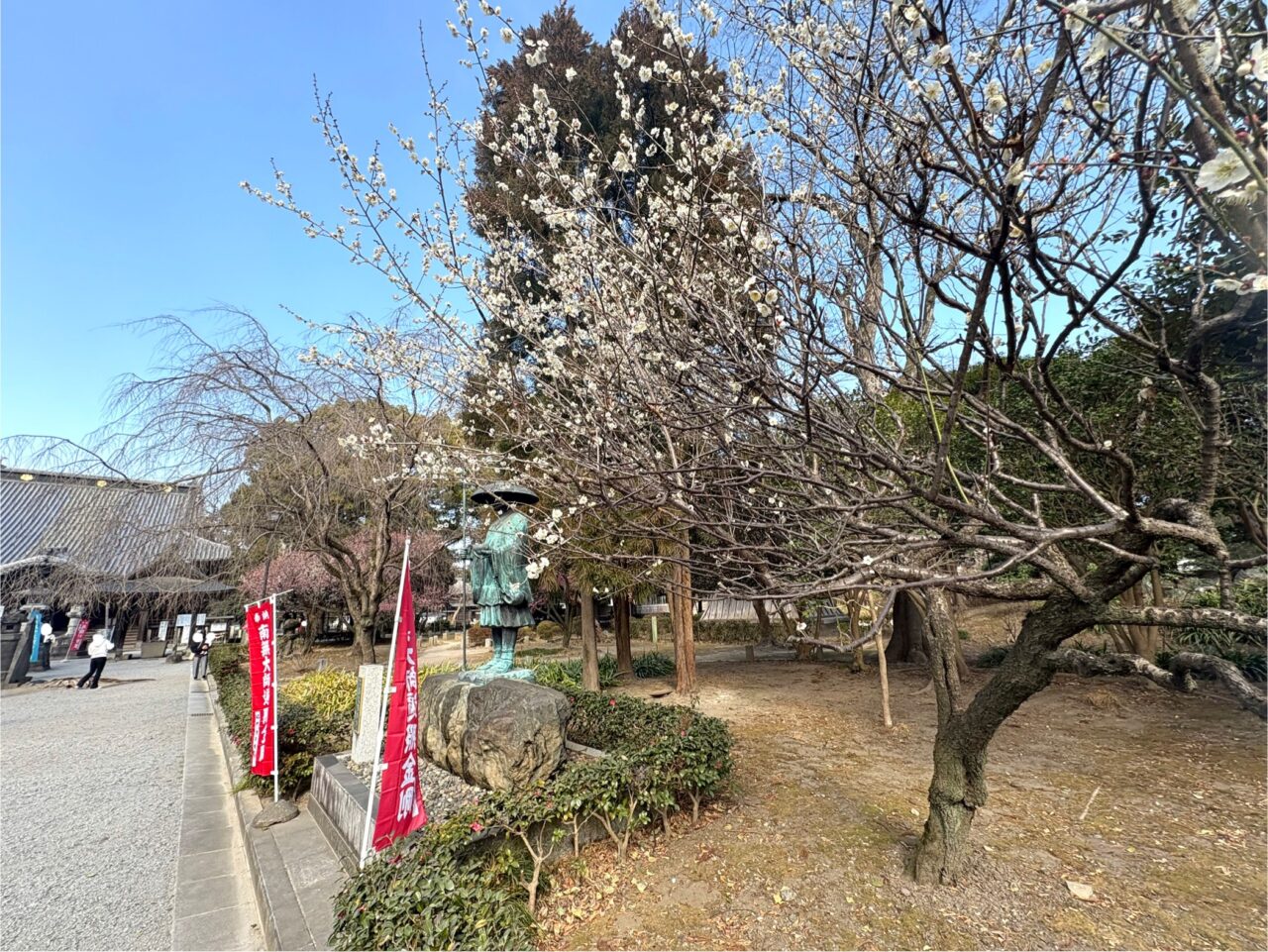 2025年3月3日足利市の鑁阿寺