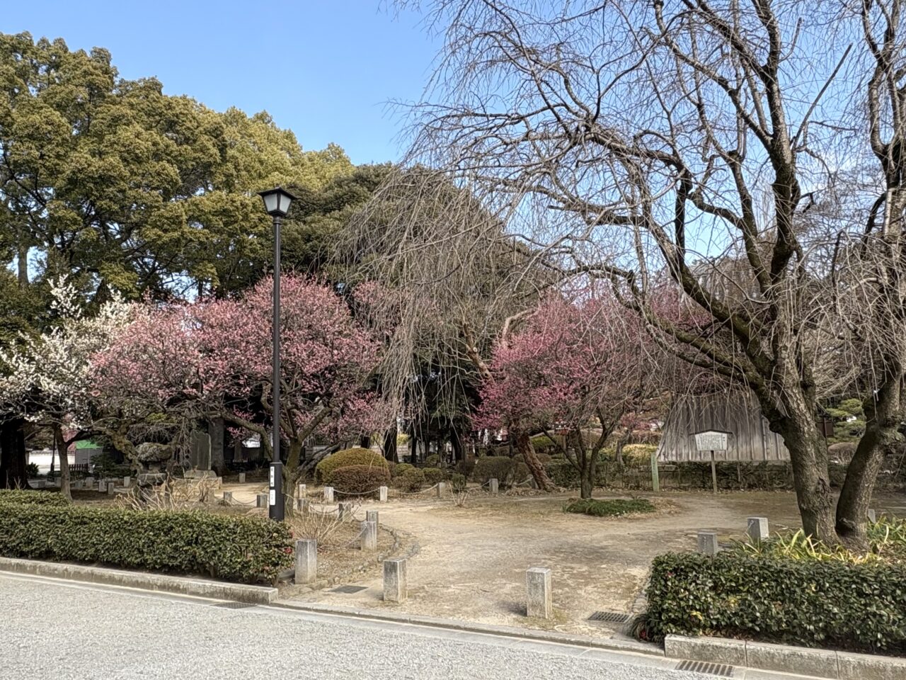 2025年3月3日足利市の鑁阿寺