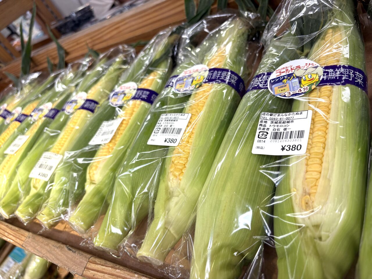 2025年7月15日佐野市のどまんなかたぬま
