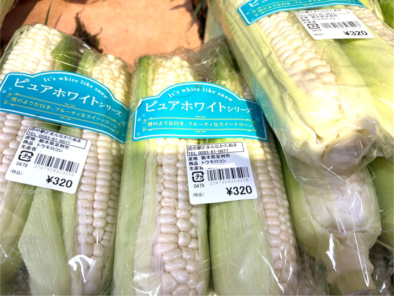2025年7月15日佐野市のどまんなかたぬま