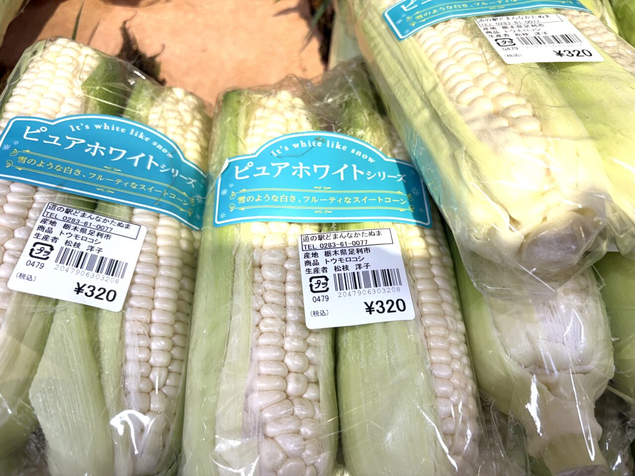 2025年7月15日佐野市のどまんなかたぬま
