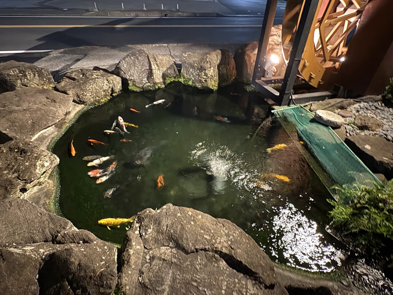 2025年9月12日足利市のふか川