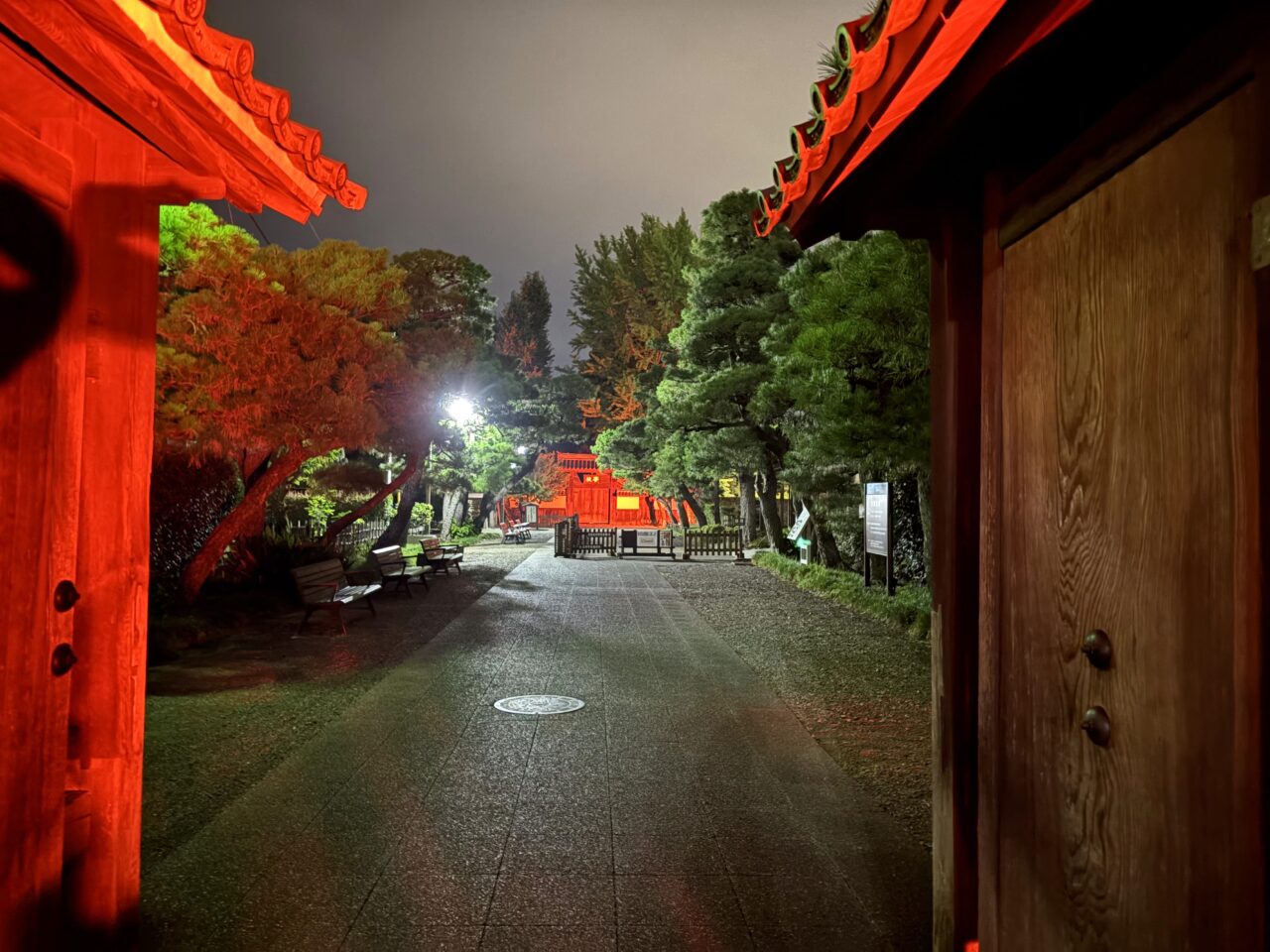 2025年9月10日足利市のライトアップ