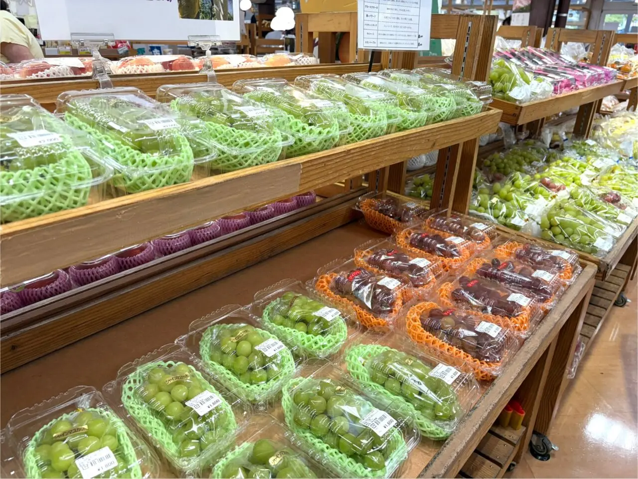 2025年9月16日佐野市のどまんなかたぬま