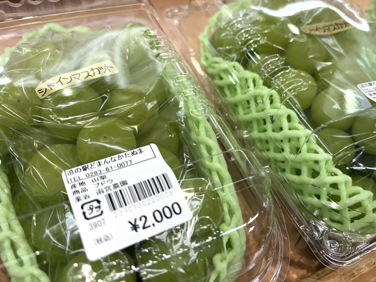 2025年9月16日佐野市のどまんなかたぬま