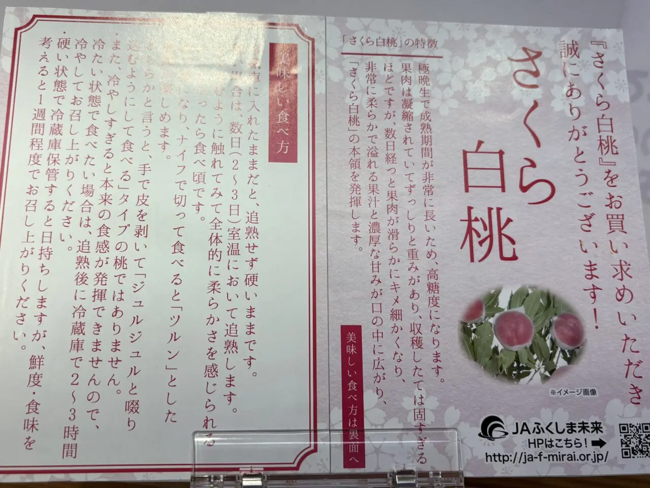 2025年9月16日佐野市のどまんなかたぬま