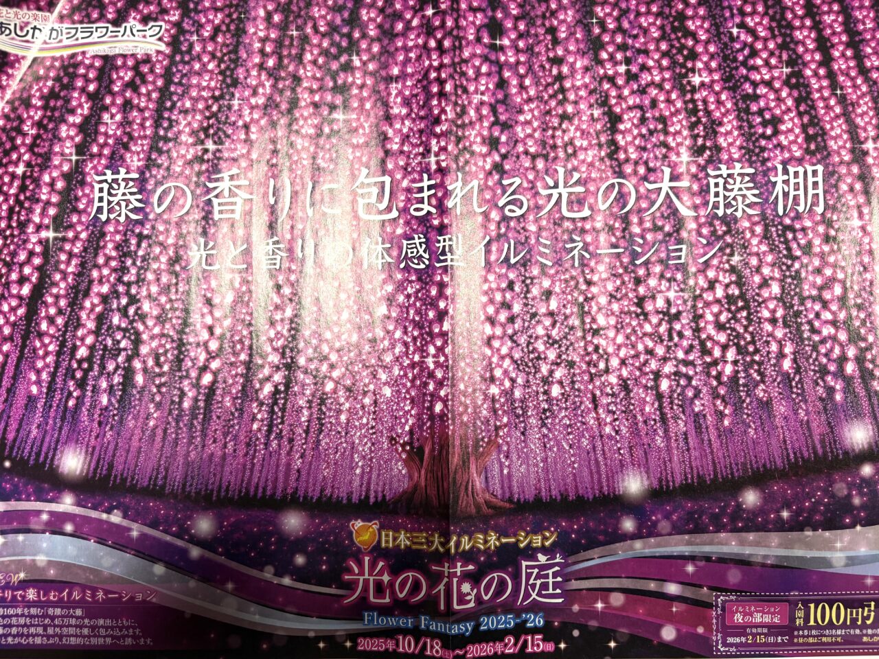 2025年10月29日足利市のフラワーパーク