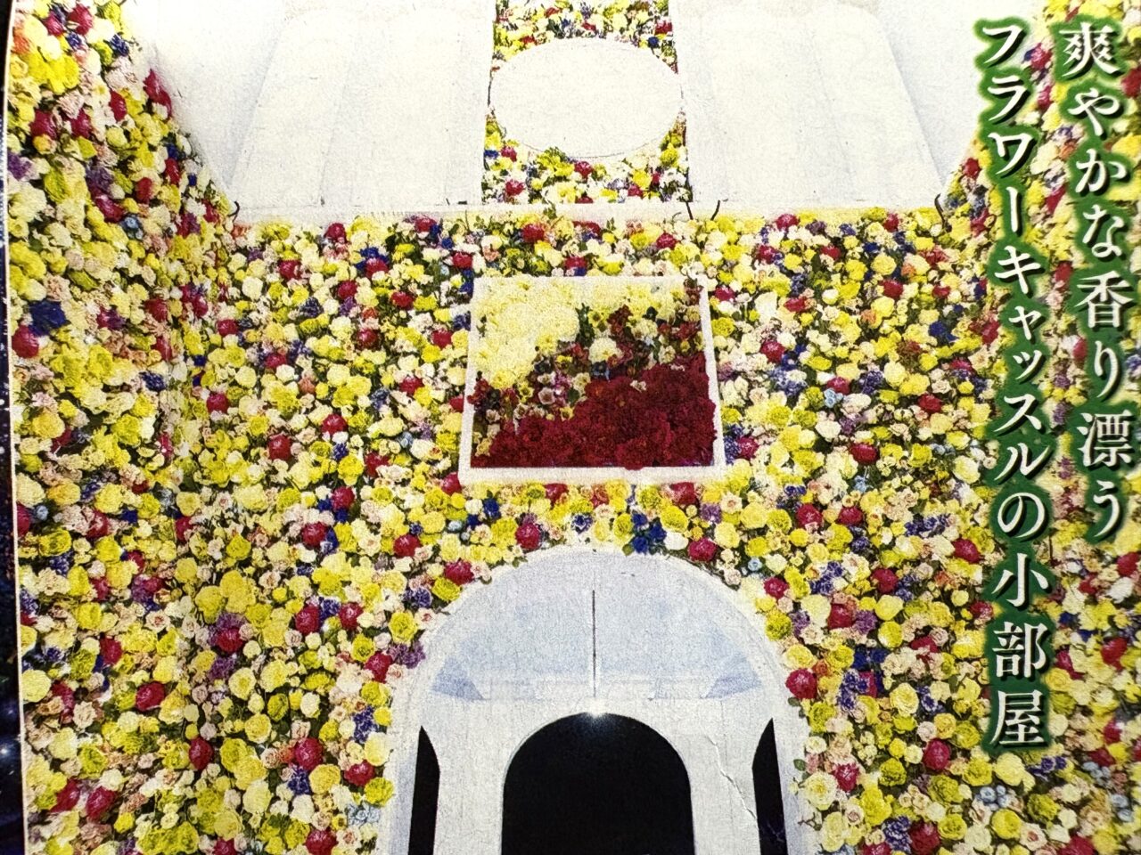 2025年10月29日足利市のフラワーパーク