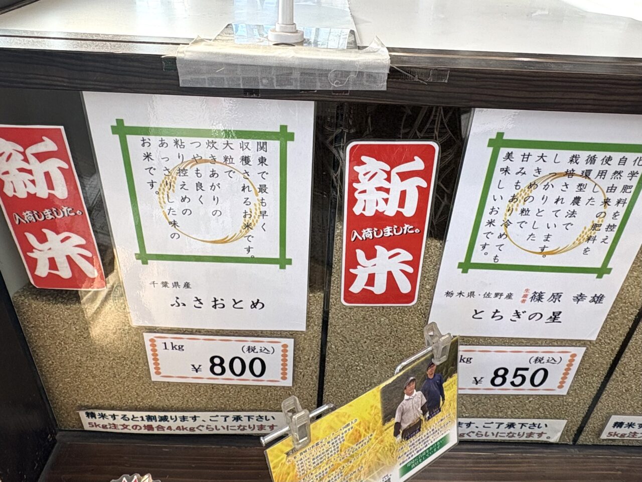 2025年11月5日佐野市のどまんなかたぬま