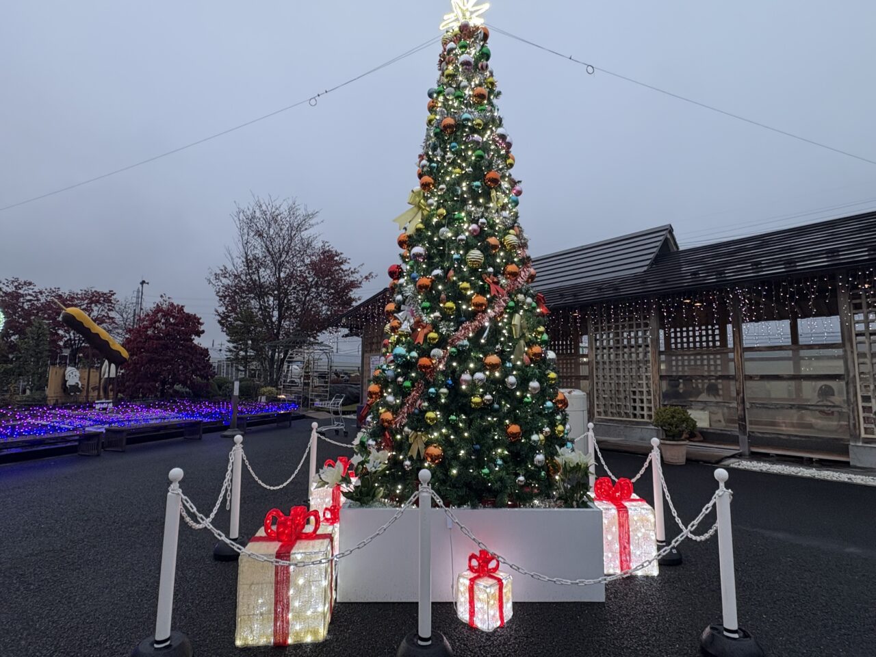 2025年11月12日佐野市のイルミ