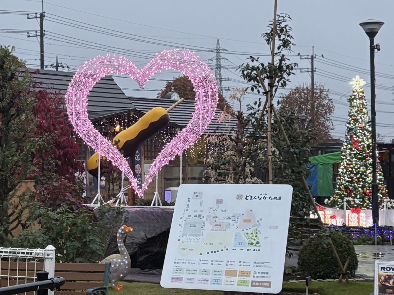 2025年11月12日佐野市のイルミ