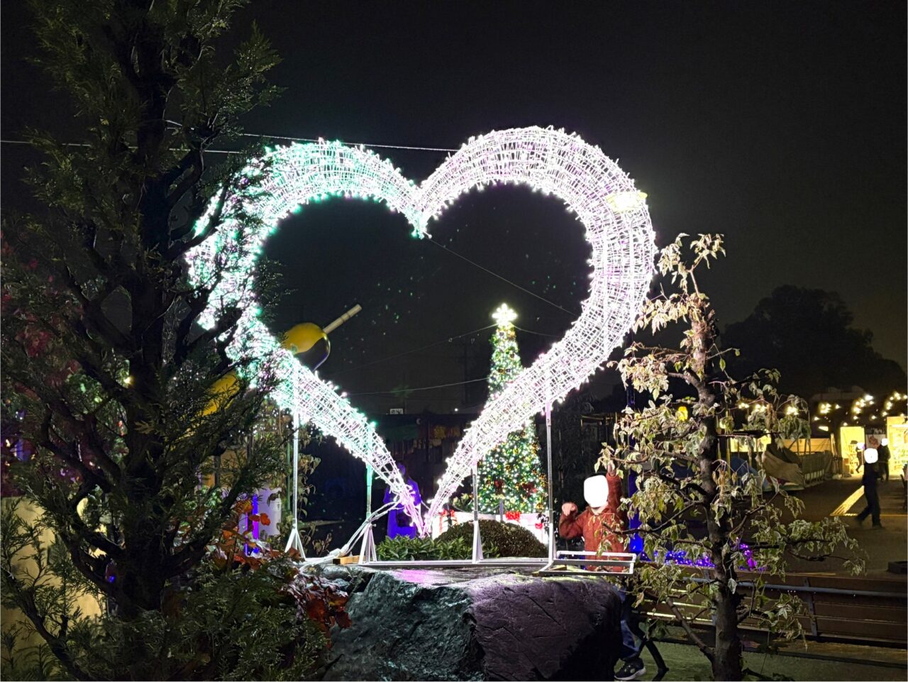 2025年11月12日佐野市のイルミ