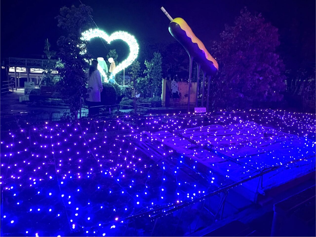 2025年11月12日佐野市のイルミ