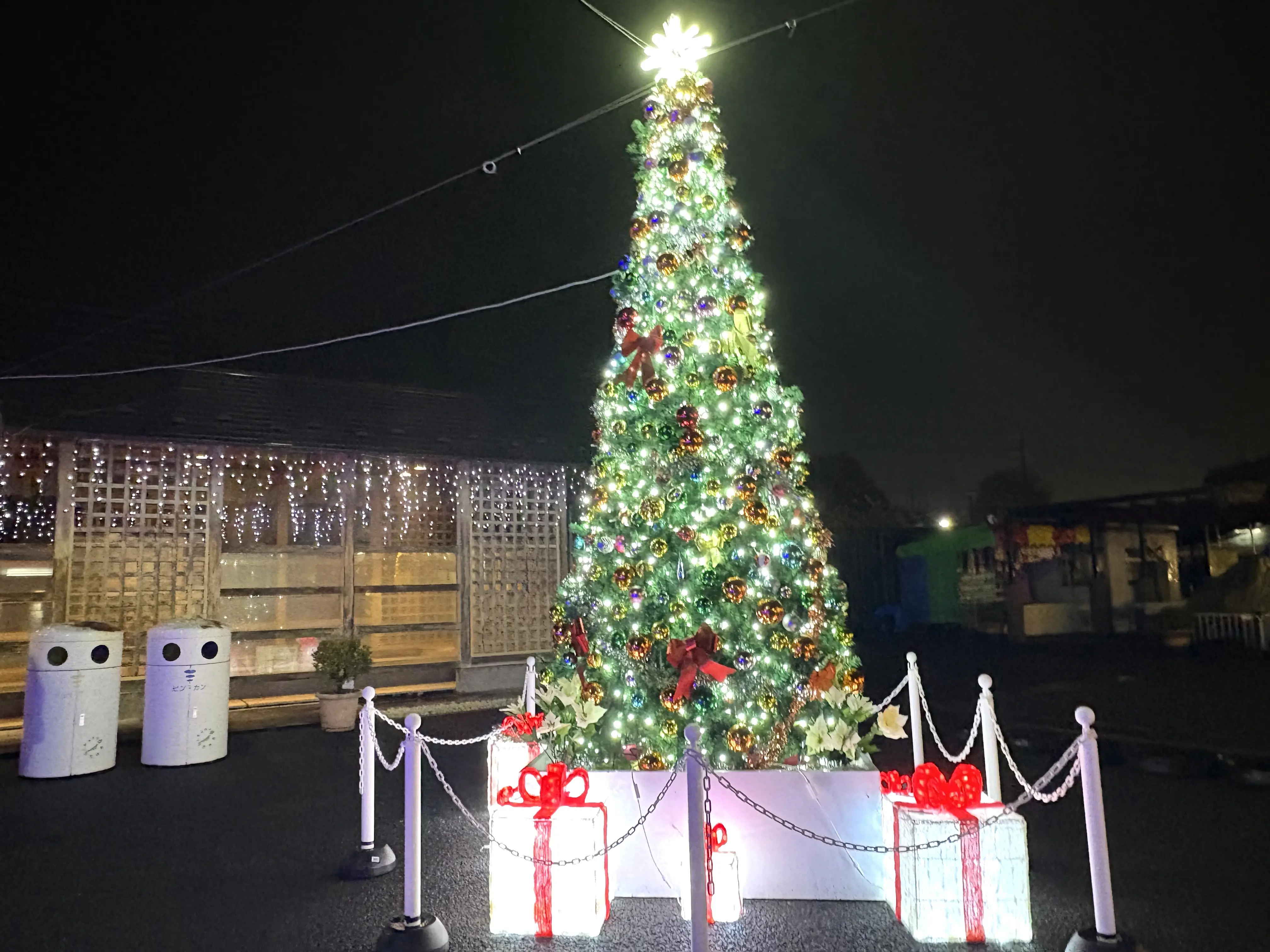 2025年11月25日佐野市のどまんなかたぬま