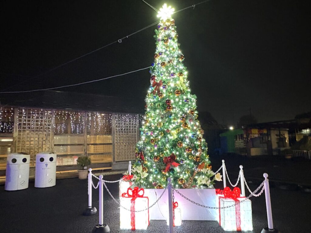 2025年11月12日佐野市のイルミ